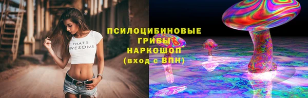 индика Алексин