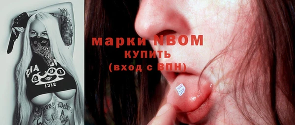 индика Алексин