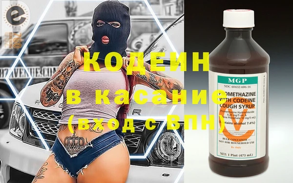 индика Алексин