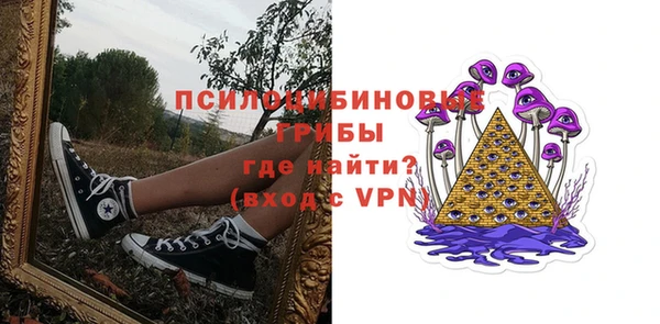 индика Алексин