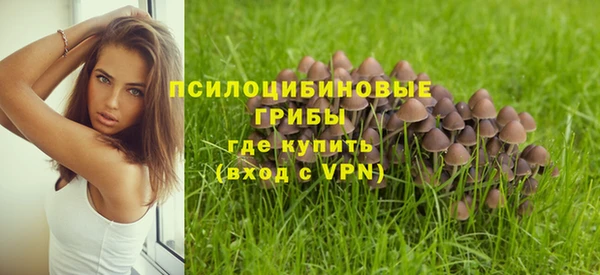 spice Алзамай