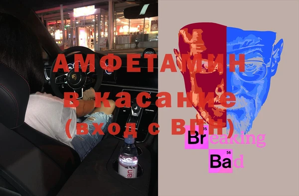 индика Алексин